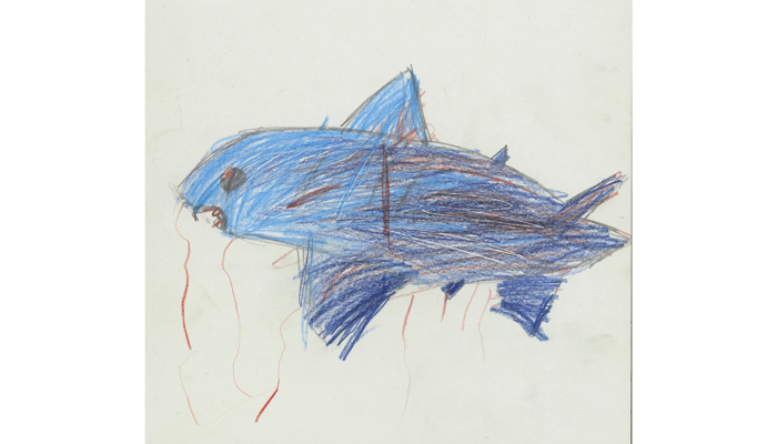 drawing of blue fish