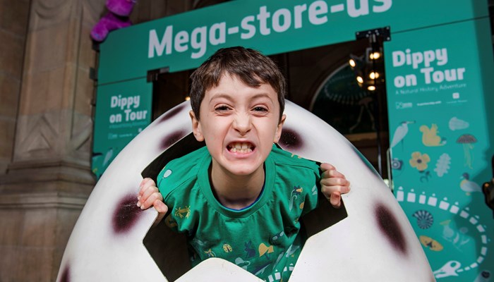 Megastorus opens at Kelvingrove Museum