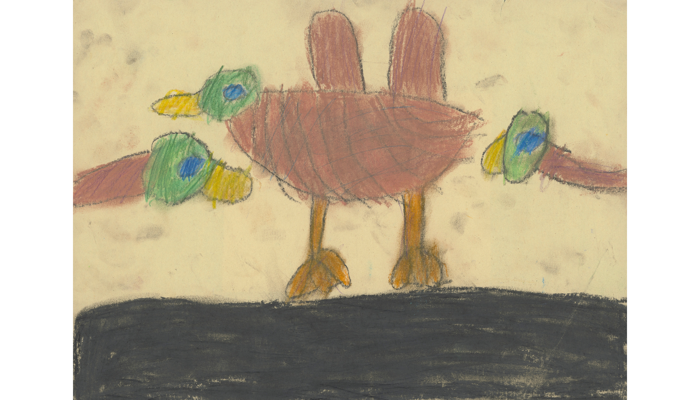 drawing of 3 ducks with one in middle and heads of others on either side