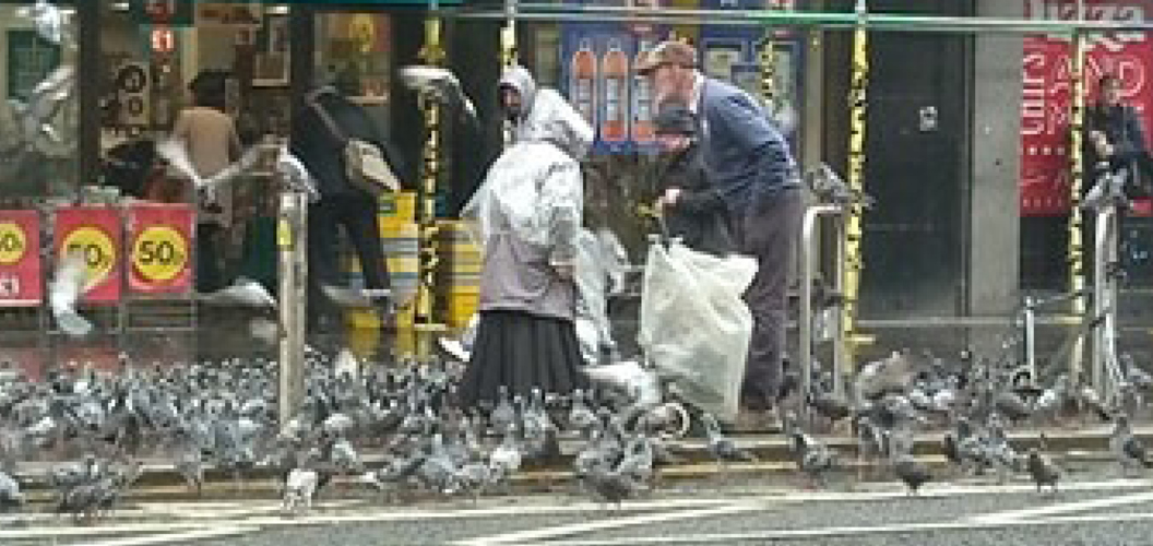 Carol Brown: Pigeon people Argyle Street