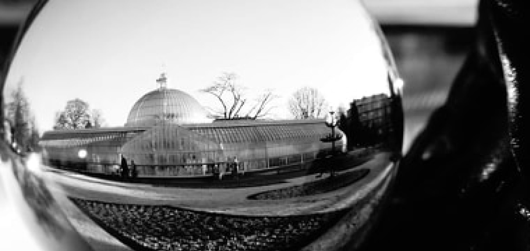 Dalgleish: Life in a west end bubble