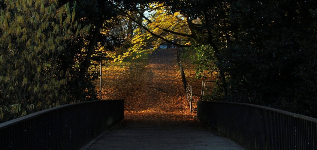 Joy Dakers: Autumn leaves