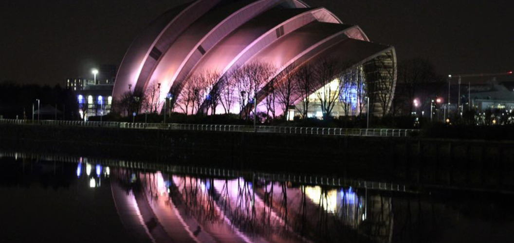 Russell Fraser: Armadillo pink reflection