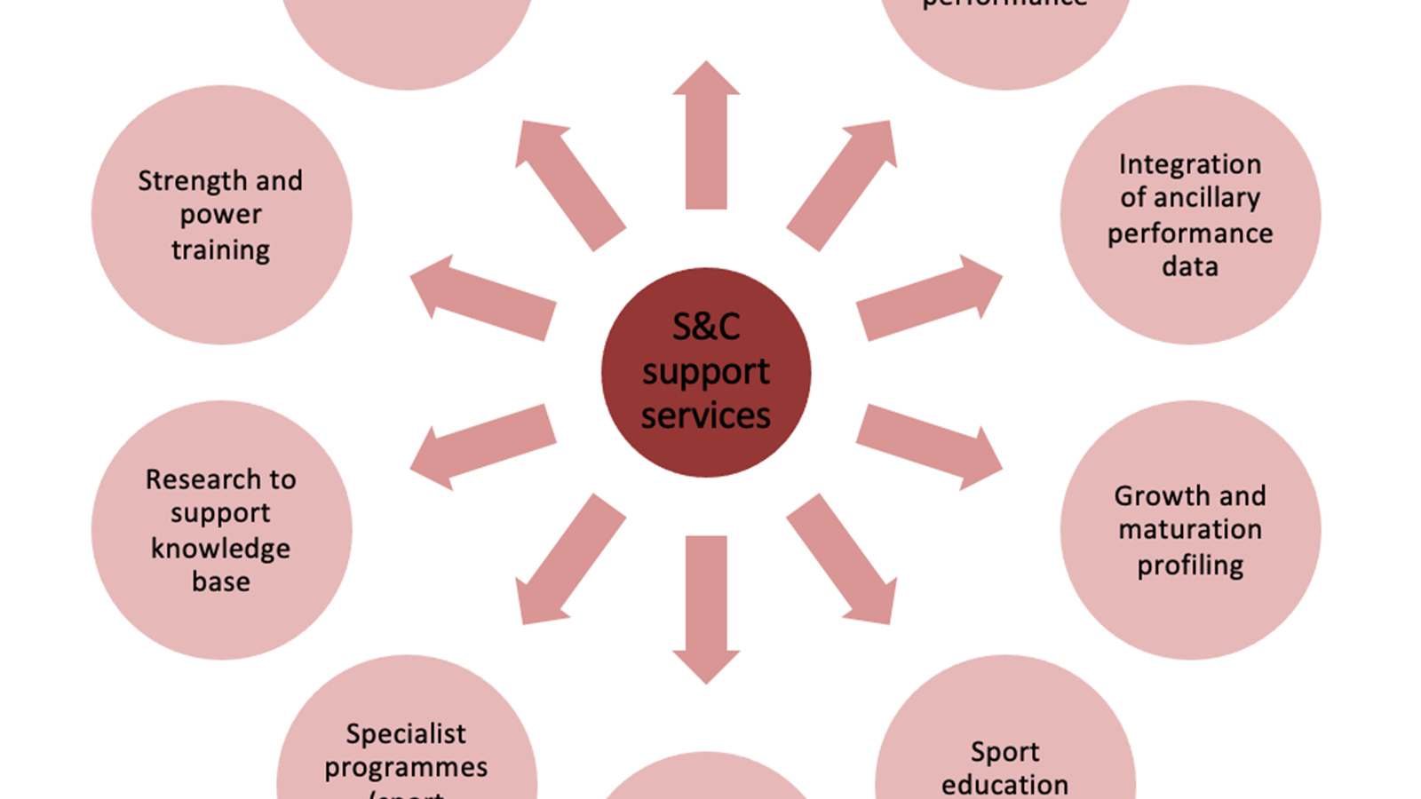 Strength and conditioning support services