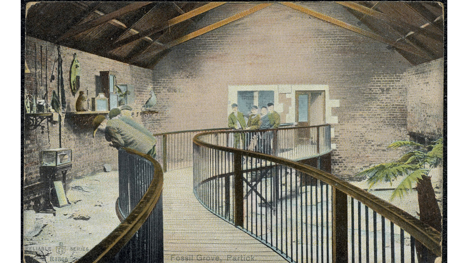 Vintage postcard illustration showing visitors standing along a curved wooden balcony overlooking an indoor fossil exhibit at Fossil Grove, Partick.