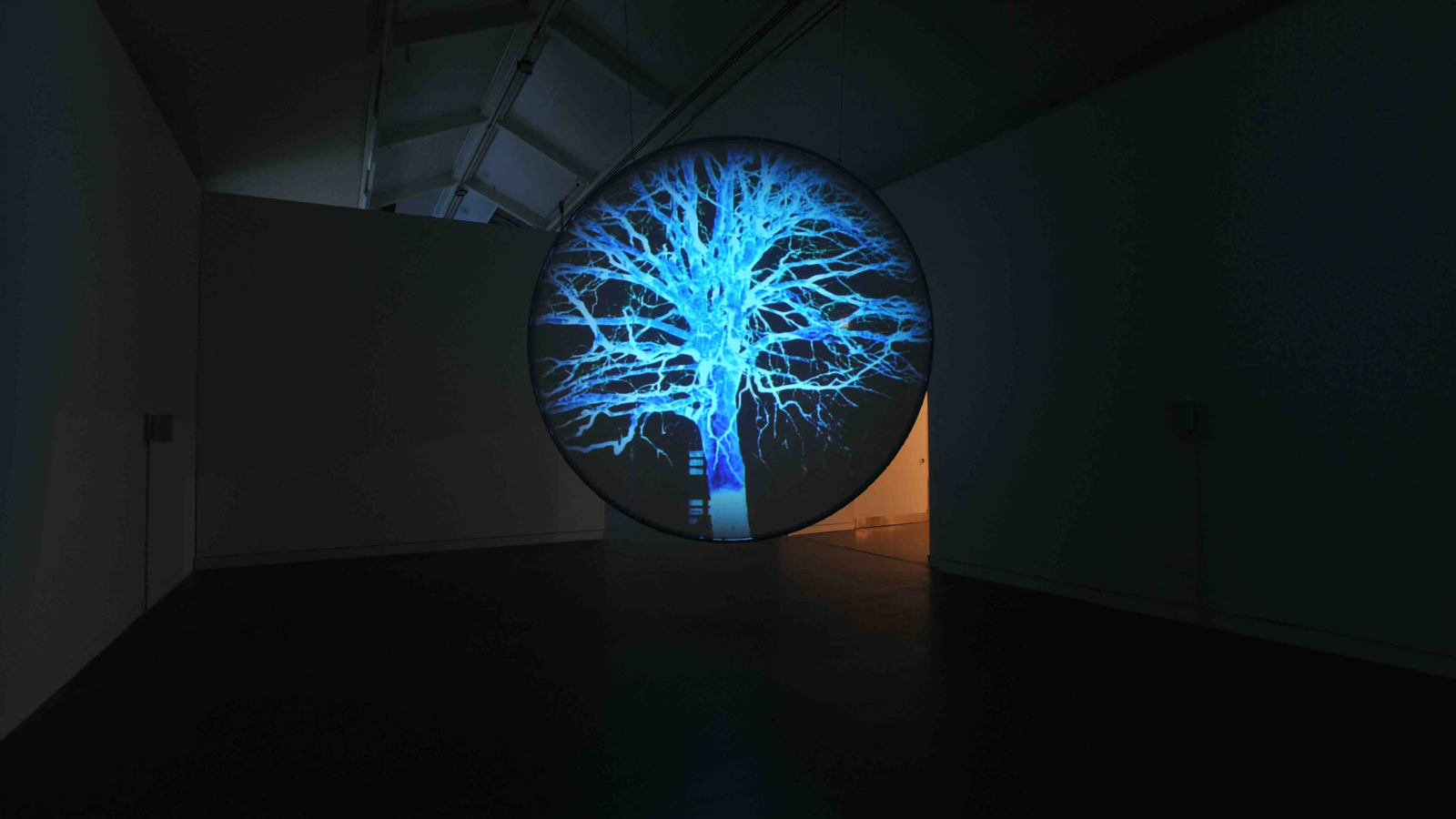 A dimly lit room features a large circular screen suspended from the ceiling, displaying a bright blue, digitally rendered tree against a black background. The tree’s branches form intricate, web-like patterns that resemble neural networks. Soft light spills in from an open doorway on the right, but the glowing tree image remains the focal point of the space.
