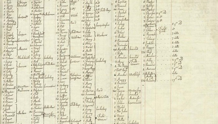 an old register showing the details of slaves on a plantation