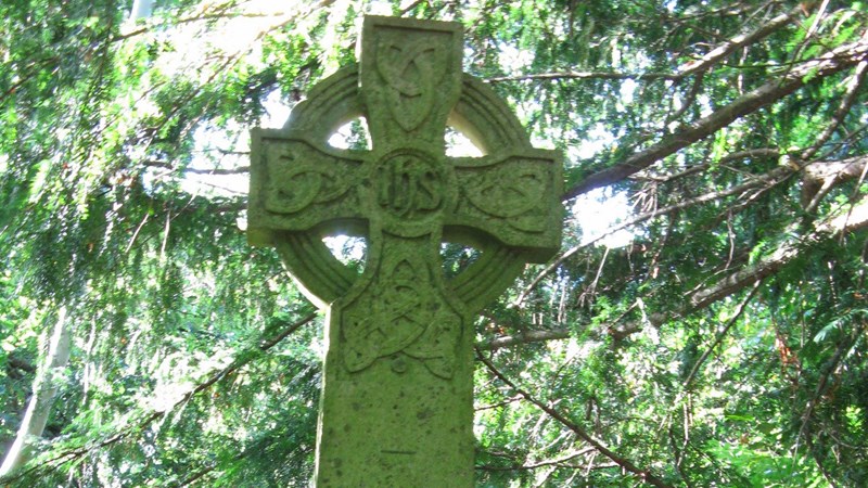 An elaborate Celtic-revival cross headstone for Louis Campbell which has turned slightly green with trees and shrubs surrounding it.