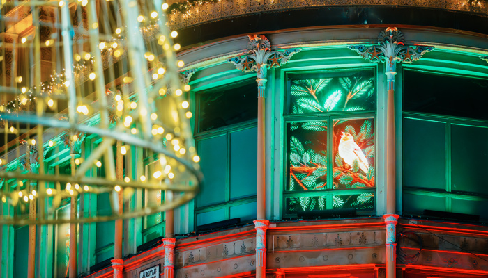 Close-up view of an ornate historic building interior with decorative columns and curved balcony detailing, illuminated in green and red lighting. A window panel features an illustrated bird surrounded by foliage. In the foreground, out-of-focus warm white string lights hang in a circular arrangement, adding a festive atmosphere.