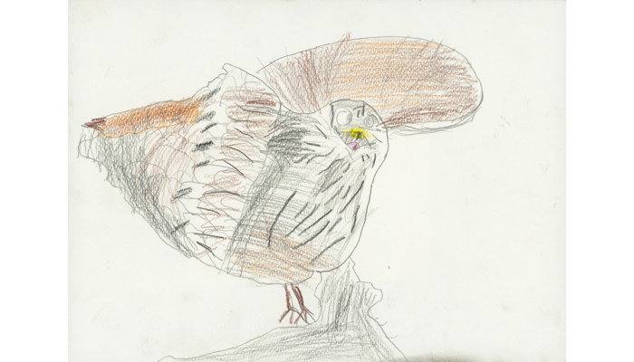drawing of brown and black bird