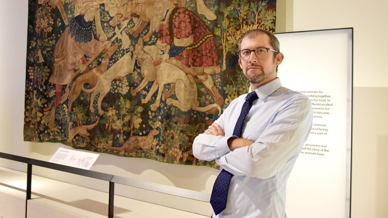 Photographs show curator Ralph Moffat standing in front of a tapestry called The Boar Hunt.