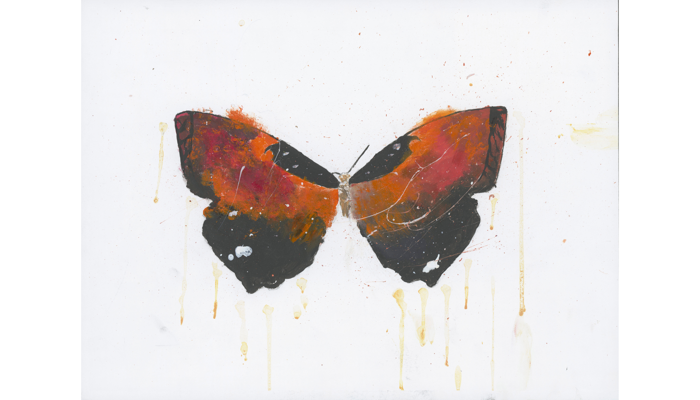painting of orange and black butterfly 