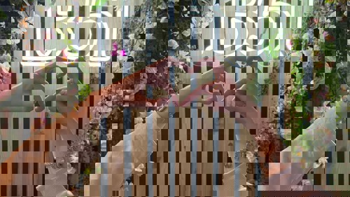 Person makes a heart-shaped symbol with their fingers in front of a neon sign that reads "B51"