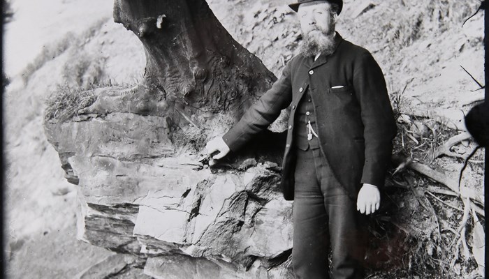 A man standing next to a tree root on a bank