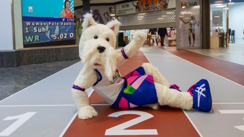 A person dressed in an mascot costume of a white Scottish terrier in a blue vest and shorts