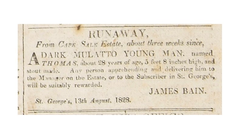 a newspaper cutting announcing the escape of slaves in Grenada.