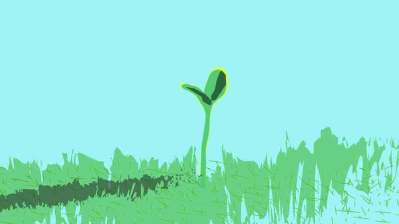 Illustration of a seedling amongst grass