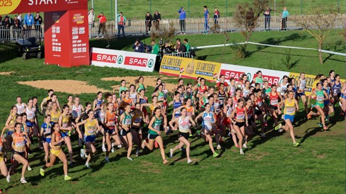 A large group of athletes taking part in an outdoor Cross Country running race