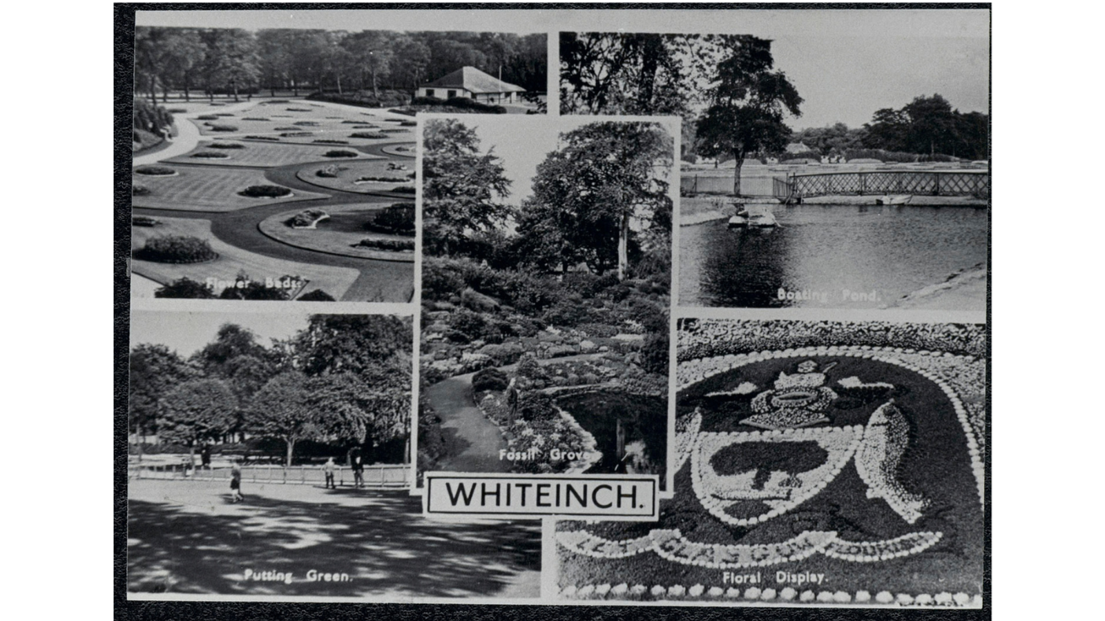 Monochrome postcard collage labeled 'WHITEINCH' displaying five views: flower beds, a putting green, Fossil Grove, a boating pond, and a floral coat-of-arms display.
