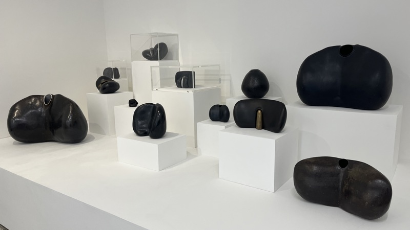 A white painted gallery space displays a group of small ceramic sculptures arranged on white plinths of different heights. The sculptures have smooth, rounded, organic shapes, some resembling polished stones or biomorphic forms. The bright white walls and pedestals contrast sharply with the dark sculptures, emphasizing their contours, textures, and different matte or gloss glaze details.