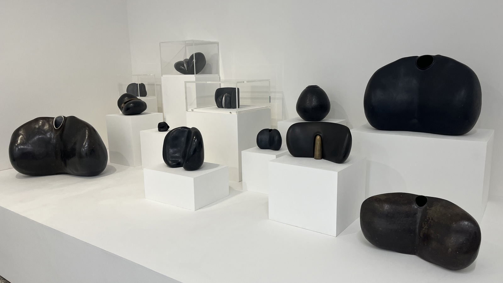 A white painted gallery space displays a group of small ceramic sculptures arranged on white plinths of different heights. The sculptures have smooth, rounded, organic shapes, some resembling polished stones or biomorphic forms. The bright white walls and pedestals contrast sharply with the dark sculptures, emphasizing their contours, textures, and different matte or gloss glaze details.